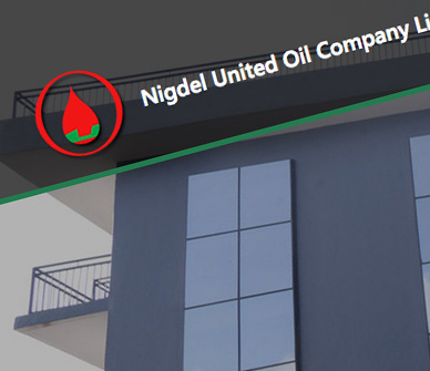 nigdel-oil-nigeria-website-design-and-development